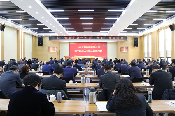 918博天堂胜利召开第十四届职工代表大会第二次会议