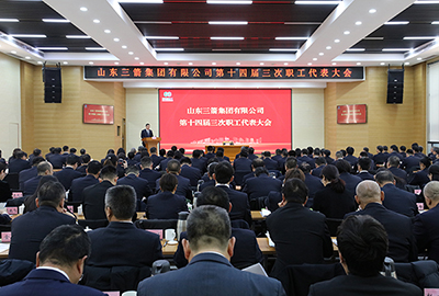 918博天堂召开第十四届职工代表大会第三次会议